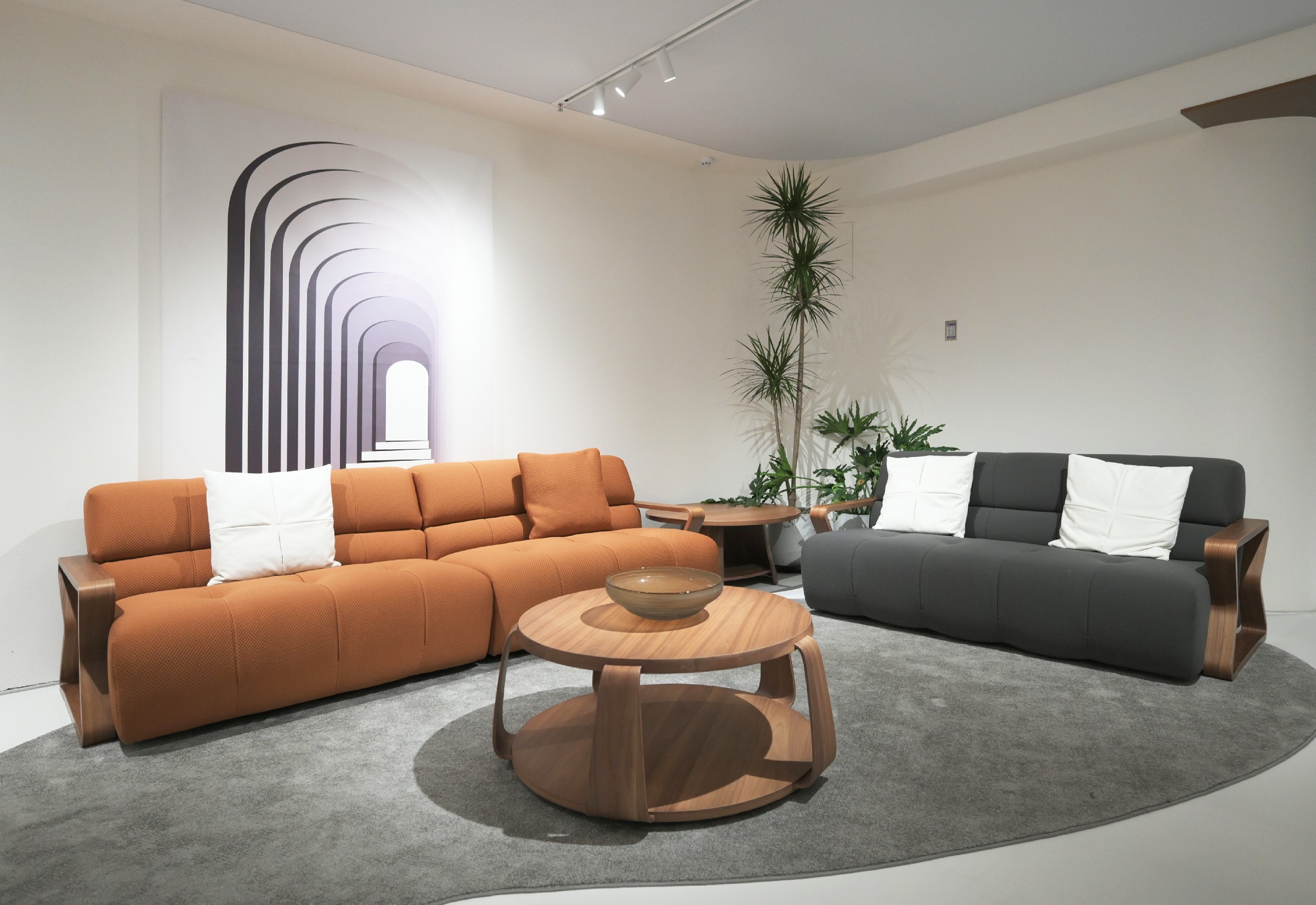 樱花视频环渤海国际家居